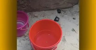 নারায়ণগঞ্জে ককটেল বিস্ফোরণ করে প্রবাসীর বাড়িতে ডাকাতি